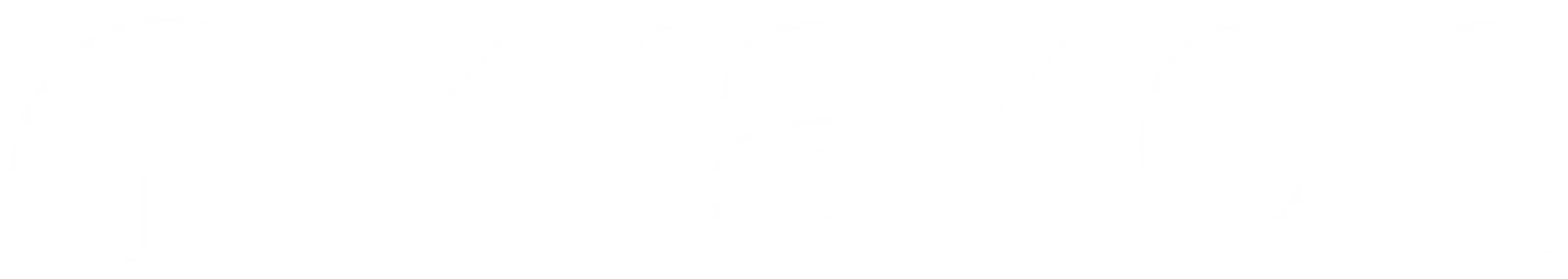 Partner 6